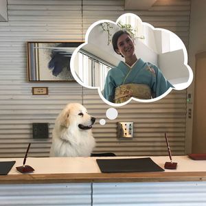 Meet your Posher, Kristine